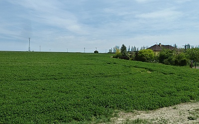 V�hled na severov�chod (prostor za domem)